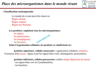 Place des microorganismes dans le monde vivant
Classification contemporaine
Le monde du vivant peut être classé en:
Règne animal,
Règne végétal,
Règne des Protistes.
Les protistes: englobent tous les microorganismes:
les algues,
les protozoaires,
les champignons,
les bactéries.
Selon l’organisation cellulaire, les protistes se subdivisent en :
protistes supérieurs, cellules eucaryotes : organisation cellulaire complexe
l'existence d'un noyau : algues (sauf les algues bleu-vert), champignons, protozoaires,
protistes inférieurs, cellules procaryotes: cellule unique dépourvue de noyau:
- les algues bleu-vert ou Cyanobactéries,
- les bactéries.
 