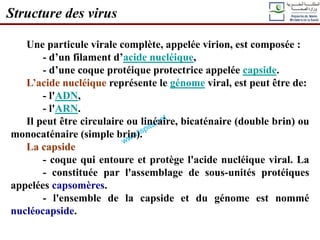 Une particule virale complète, appelée virion, est composée :
- d’un filament d’acide nucléique,
- d’une coque protéique protectrice appelée capside.
L’acide nucléique représente le génome viral, est peut être de:
- l'ADN,
- l'ARN.
Il peut être circulaire ou linéaire, bicaténaire (double brin) ou
monocaténaire (simple brin).
La capside
- coque qui entoure et protège l'acide nucléique viral. La
- constituée par l'assemblage de sous-unités protéiques
appelées capsomères.
- l'ensemble de la capside et du génome est nommé
nucléocapside.
Structure des virus
 