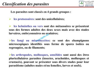 Les parasites sont classés en 4 grands groupes :
 les protozoaires: sont des unicellulaires;
 les helminthes ou vers sont des métazoaires se présentent
sous des formes adultes des deux sexes mais avec des stades
larvaires, embryonnaires ou ovulaires;
les fungi ou micromycètes: ce sont des champignons
microscopiques identifiés sous forme de spores isolées ou
regroupées, ou de filaments;
les arthropodes, mollusques, annélides sont aussi des êtres
pluricellulaires parasites (insectes, arachnides, mollusques et
crustacés), pouvant se présenter sous divers stades pour leur
parasitisme (adultes males et/ou femelles, larves et œufs).
Classification des parasites
 