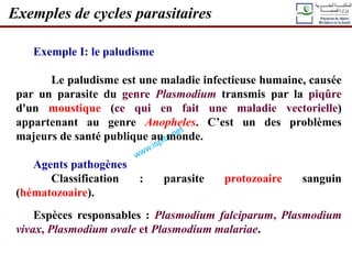 Exemple I: le paludisme
Le paludisme est une maladie infectieuse humaine, causée
par un parasite du genre Plasmodium transmis par la piqûre
d'un moustique (ce qui en fait une maladie vectorielle)
appartenant au genre Anopheles. C’est un des problèmes
majeurs de santé publique au monde.
Agents pathogènes
Classification : parasite protozoaire sanguin
(hématozoaire).
Espèces responsables : Plasmodium falciparum, Plasmodium
vivax, Plasmodium ovale et Plasmodium malariae.
Exemples de cycles parasitaires
 