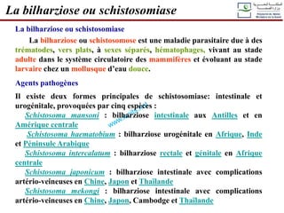 La bilharziose ou schistosomiase
La bilharziose ou schistosomose est une maladie parasitaire due à des
trématodes, vers plats, à sexes séparés, hématophages, vivant au stade
adulte dans le système circulatoire des mammifères et évoluant au stade
larvaire chez un mollusque d’eau douce.
Agents pathogènes
Il existe deux formes principales de schistosomiase: intestinale et
urogénitale, provoquées par cinq espèces :
Schistosoma mansoni : bilharziose intestinale aux Antilles et en
Amérique centrale
Schistosoma haematobium : bilharziose urogénitale en Afrique, Inde
et Péninsule Arabique
Schistosoma intercalatum : bilharziose rectale et génitale en Afrique
centrale
Schistosoma japonicum : bilharziose intestinale avec complications
artério-veineuses en Chine, Japon et Thaïlande
Schistosoma mekongi : bilharziose intestinale avec complications
artério-veineuses en Chine, Japon, Cambodge et Thaïlande
La bilharziose ou schistosomiase
 