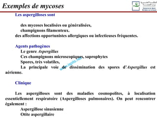Exemples de mycoses
Les aspergilloses sont
des mycoses localisées ou généralisées,
champignons filamenteux.
des affections opportunistes allergiques ou infectieuses fréquentes.
Agents pathogènes
Le genre Aspergillus
Ces champignons microscopiques, saprophytes
Spores, très volatiles,
La principale voie de dissémination des spores d’Aspergillus est
aérienne.
Clinique
Les aspergilloses sont des maladies cosmopolites, à localisation
essentiellement respiratoire (Aspergilloses pulmonaires). On peut rencontrer
également :
Aspergillose sinusienne
Otite aspergillaire
 