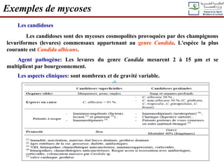 Les candidoses
Les candidoses sont des mycoses cosmopolites provoquées par des champignons
levuriformes (levures) commensaux appartenant au genre Candida. L'espèce la plus
courante est Candida albicans.
Agent pathogène: Les levures du genre Candida mesurent 2 à 15 μm et se
multiplient par bourgeonnement.
Les aspects cliniques: sont nombreux et de gravité variable.
Exemples de mycoses
 