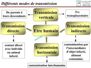 Etre humain
Transmission
directe
Transmission
horizontale
Transmission
indirecte
contact direct
avec individu
ou animal
infecté
contamination par
l’intermédiaire
d’objet infecté,
aliment
contaminé,
contamination interhumaine
Différents modes de transmission
De parents à
leurs descendants
Ex:
transplacentaire
Transmission
verticale
 