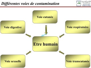 Etre humain
Voie digestive
Voie cutanée
Voie respiratoire
Voie transcutanée
Voie sexuelle
Différentes voies de contamination
 