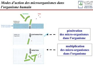 pénétration
des micro-organismes
dans l’organisme
multiplication
des micro-organismes
dans l’organisme
Modes d’action des microorganismes dans
l’organisme humain
 