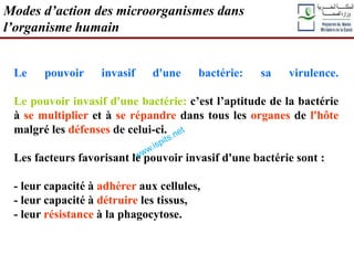 Le pouvoir invasif d'une bactérie: sa virulence.
Le pouvoir invasif d'une bactérie: c’est l’aptitude de la bactérie
à se multiplier et à se répandre dans tous les organes de l'hôte
malgré les défenses de celui-ci.
Les facteurs favorisant le pouvoir invasif d'une bactérie sont :
- leur capacité à adhérer aux cellules,
- leur capacité à détruire les tissus,
- leur résistance à la phagocytose.
Modes d’action des microorganismes dans
l’organisme humain
 