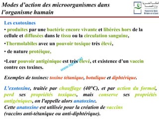 Les exotoxines
• produites par une bactérie encore vivante et libérées hors de la
cellule et diffusées dans le tissu ou la circulation sanguine,
•Thermolabiles avec un pouvoir toxique très élevé,
• de nature protéique,
•Leur pouvoir antigénique est très élevé, et existence d’un vaccin
contre ces toxines.
Exemples de toxines: toxine tétanique, botulique et diphtérique.
L'exotoxine, traitée par chauffage (40°C), et par action du formol,
perd ses propriétés toxiques, mais conserve ses propriétés
antigéniques, on l'appelle alors anatoxine.
Cette anatoxine est utilisée pour la création de vaccins
(vaccins anti-tétanique ou anti-diphtérique).
Modes d’action des microorganismes dans
l’organisme humain
 