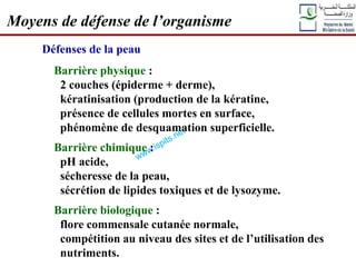 Moyens de défense de l’organisme
Défenses de la peau
Barrière physique :
2 couches (épiderme + derme),
kératinisation (production de la kératine,
présence de cellules mortes en surface,
phénomène de desquamation superficielle.
Barrière chimique :
pH acide,
sécheresse de la peau,
sécrétion de lipides toxiques et de lysozyme.
Barrière biologique :
flore commensale cutanée normale,
compétition au niveau des sites et de l’utilisation des
nutriments.
 