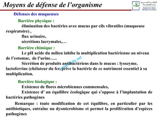 Défenses des muqueuses
Barrière physique :
élimination des bactéries avec mucus par cils vibratiles (muqueuse
respiratoire) ,
flux urinaire,
sécrétions lacrymales,…
Barrière chimique :
Le pH acide du milieu inhibe la multiplication bactérienne au niveau
de l’estomac, de l’urine…..
Sécrétion de produits antibactériens dans le mucus : lysozyme,
lactoferrine (chélateur du fer, prive la bactérie de ce nutriment essentiel à sa
multiplication.
Barrière biologique :
Existence de flores microbiennes commensales,
Existence d’ un équilibre écologique qui s’oppose à l’implantation de
bactéries pathogènes
Remarque : toute modification de cet équilibre, en particulier par les
antibiotiques, entraîne un dysmicrobisme et permet la prolifération d’espèces
pathogènes
Moyens de défense de l’organisme
 