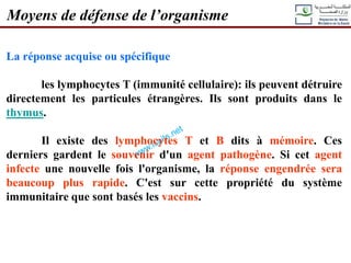 La réponse acquise ou spécifique
les lymphocytes T (immunité cellulaire): ils peuvent détruire
directement les particules étrangères. Ils sont produits dans le
thymus.
Il existe des lymphocytes T et B dits à mémoire. Ces
derniers gardent le souvenir d'un agent pathogène. Si cet agent
infecte une nouvelle fois l'organisme, la réponse engendrée sera
beaucoup plus rapide. C'est sur cette propriété du système
immunitaire que sont basés les vaccins.
Moyens de défense de l’organisme
 