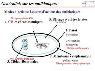 Généralités sur les antibiotiques
 