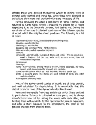 effects; those who devoted themselves wholly to mining were in
general badly clothed and worse fed, while those who attended to
agriculture alone were well provided with every necessary of life.
Having concluded the affair, I took leave of Father Thomas, and
returned to Canta Gallo, where I prepared my papers for a report
respecting it, as the Conde de Linhares, had desired me. During the
remainder of my stay I collected specimens of the different species
of wood, which the neighbourhood produces. The following is a list
of them:
Tapinhoam Canella—Hard, and excellent for sheathing ships.
Venatico—excellent timber.
Cedar—good and durable.
Socupira, also called pao ferro—hard and good.
Olio—very solid, and of a peculiar fragrance.
Cubiuna.
Jaracandá—cabinet-wood, variegated, black and yellow—This is called rose-
wood in England: but the best sorts, as it appears to me, have not
hitherto been imported.
Jaracatangá.
Ubatanga.
Palms—many varieties, among which is the iriri, before described. Its wood,
though small, is unrivalled for strength and elasticity.
Garfauna—the bark of which, as I was informed, affords a yellow dye.
Embé—a creeping plant. The stems are used instead of cords, and often
made into bridles.
Many species of thorny trees.
Most of the above-named species of woods are of large growth,
and well calculated for ship-building. It is remarkable that this
district produces none of the dye-wood called Brazil wood.
Here are innumerable fruit-trees and shrubs which I have omitted
to particularize. Tobacco is cultivated in some parts, and is always
manufactured into roll by uniting the leaves with each other, and
twisting them with a winch. By this operation the juice is expressed,
and after a short exposure to the atmosphere, the color of the
tobacco changes from green to black.
 