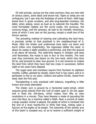 Of wild animals, ounces are the most common; they are met with
of various colors, some black and brown-red. Tapirs or antas are not
unfrequent, but I saw only the footsteps of some of them. Wild hogs
breed here in great numbers, and also long-bearded monkeys; the
latter, when asleep, snore so loud as to astonish the traveller. The
most formidable reptiles are the corral snake, the surocucu, the
surocucu-tinga, and the jararaca, all said to be mortally venomous,
none of which I ever saw on the journey, except a small one of the
former species.
The prevailing method of clearing and cultivating the land here,
is precisely similar to that practised in the neighbourhood of S.
Paulo. After the timber and underwood have been cut down and
burnt (often very imperfectly), the negresses dibble the seed; in
about six weeks a slight weeding is performed, and then the ground
is let alone till harvest. The seed-time begins in October and lasts
until November; the maize is ripe in four or five months. The next
year they commonly sow beans on the corn land, which they then
let lie, and proceed to clear new ground. It is not common to molest
the land from which they have had two crops in succession, before
eight or ten years have elapsed.
The sugar-cane and mandioca require from fourteen to eighteen
months. Coffee, planted by shoots, bears fruit in two years, and is in
perfection in five or six years. Cottons and palma Christi, raised from
seed, bear the first year.
Transplanting is only practised with tobacco; engrafting is little
known and rarely attempted.
The Indian corn is ground by a horizontal water-wheel, which
acquires great velocity from the rush of water upon it. On the upper
end is fixed the mill-stone, which makes from fifty to sixty
revolutions in a minute. They have likewise a mode of pounding the
corn into flour, by a machine called a Sloth. Near a current of water
a large wooden mortar is placed, the pestle of which is mortised into
the end of a lever twenty-five or thirty feet long, resting upon a
fulcrum at five-eights of its length. The extremity of the shorter arm
of this beam is scooped out, so as to receive a sufficient weight of
 