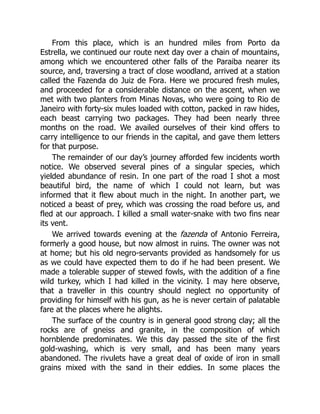 From this place, which is an hundred miles from Porto da
Estrella, we continued our route next day over a chain of mountains,
among which we encountered other falls of the Paraiba nearer its
source, and, traversing a tract of close woodland, arrived at a station
called the Fazenda do Juiz de Fora. Here we procured fresh mules,
and proceeded for a considerable distance on the ascent, when we
met with two planters from Minas Novas, who were going to Rio de
Janeiro with forty-six mules loaded with cotton, packed in raw hides,
each beast carrying two packages. They had been nearly three
months on the road. We availed ourselves of their kind offers to
carry intelligence to our friends in the capital, and gave them letters
for that purpose.
The remainder of our day’s journey afforded few incidents worth
notice. We observed several pines of a singular species, which
yielded abundance of resin. In one part of the road I shot a most
beautiful bird, the name of which I could not learn, but was
informed that it flew about much in the night. In another part, we
noticed a beast of prey, which was crossing the road before us, and
fled at our approach. I killed a small water-snake with two fins near
its vent.
We arrived towards evening at the fazenda of Antonio Ferreira,
formerly a good house, but now almost in ruins. The owner was not
at home; but his old negro-servants provided as handsomely for us
as we could have expected them to do if he had been present. We
made a tolerable supper of stewed fowls, with the addition of a fine
wild turkey, which I had killed in the vicinity. I may here observe,
that a traveller in this country should neglect no opportunity of
providing for himself with his gun, as he is never certain of palatable
fare at the places where he alights.
The surface of the country is in general good strong clay; all the
rocks are of gneiss and granite, in the composition of which
hornblende predominates. We this day passed the site of the first
gold-washing, which is very small, and has been many years
abandoned. The rivulets have a great deal of oxide of iron in small
grains mixed with the sand in their eddies. In some places the
 