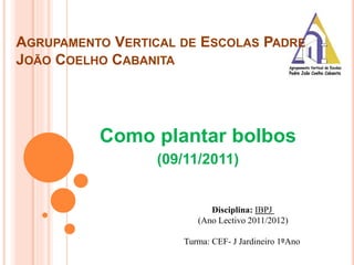 AGRUPAMENTO VERTICAL DE ESCOLAS PADRE
JOÃO COELHO CABANITA
Como plantar bolbos
(09/11/2011)
Disciplina: IBPJ
(Ano Lectivo 2011/2012)
Turma: CEF- J Jardineiro 1ºAno
 