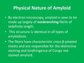 Physical Nature of Amyloid
• By electron microscopy, amyloid is seen to be
made up largely of nonbranching fibrils of
inde...