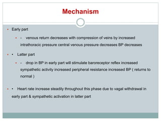 Mechanism
 Early part
 - venous return decreases with compression of veins by increased
intrathoracic pressure central venous pressure decreases BP decreases
 • Latter part
 - drop in BP in early part will stimulate baroreceptor reflex increased
sympathetic activity increased peripheral resistance increased BP ( returns to
normal )
 • Heart rate increase steadily throughout this phase due to vagal withdrawal in
early part & sympathetic activation in latter part
 