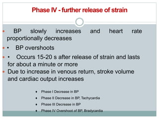 Phase IV - further release of strain
 BP slowly increases and heart rate
proportionally decreases
 • BP overshoots
 • Occurs 15-20 s after release of strain and lasts
for about a minute or more
 Due to increase in venous return, stroke volume
and cardiac output increases
♦ Phase I Decrease in BP
♦ Phase II Decrease in BP, Tachycardia
♦ Phase III Decrease in BP
♦ Phase IV Overshoot of BP, Bradycardia
 