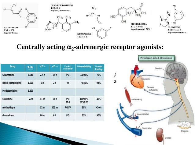 gabapentin mechanism of action alcohol withdrawal