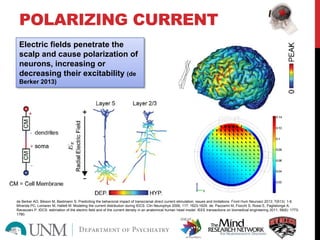 POLARIZING CURRENT
Electric fields penetrate the
scalp and cause polarization of
neurons, increasing or
decreasing their excitability (de
Berker 2013)
de Berker AO, Bikson M, Bestmann S. Prediciting the behavioral impact of transcranial direct current stimulation: issues and limitations. Front Hum Neurosci 2013; 7(613): 1-6.
Miranda PC, Lomarev M, Hallett M. Modeling the current distribution during tDCS. Clin Neurophys 2006; 117: 1623-1629. de. Pazzarini M, Fiocchi S, Rossi E, Paglialonga A,
Ravazzani P. tDCS: estimation of the electric field and of the current density in an anatomical human head model. IEEE transactions on biomedical engineering 2011; 58(6): 1773-
1780.
 