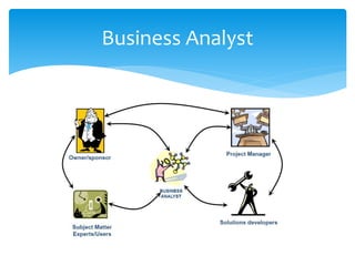 Business Analyst
 