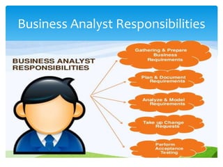 Business Analyst Responsibilities
 