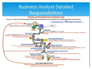 Business Analyst Detailed
Responsibilities
 