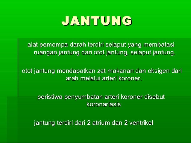 13287664 tugas-biologi-sistem-sirkulasi-manusia-kelompok-iii