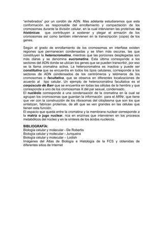 “enhebrados” por un cordón de ADN. Mas adelante estudiaremos que esta
conformación es responsable del enrollamiento y compactación de los
cromosomas durante la división celular, en la cual intervienen las proteínas no
histónicas   que contribuyen a sostener y plegar el armazón de los
cromosomas así como también intervienen en la transcripción (copia) de los
genes.

Según el grado de enrollamiento de los cromosomas en interfase existen
regiones que permanecen condensadas y se tiñen más oscuras, las que
constituyen la heterocromatina, mientras que las porciones desplegadas son
más claras y se denomina eucromatina. Esta última corresponde a los
sectores del ADN donde se ubican los genes que se pueden transcribir, por eso
se la llama cromatina activa. La heterocromatina es inactiva y puede ser
constitutiva que se encuentra en todos los tipos celulares, corresponde a los
sectores de ADN condensados de los centrómeros y telómeros de los
cromosomas o facultativa, que se observa en diferentes localizaciones de
acuerdo al tipo celular. Un ejemplo de heterocromatina facultativa es el
corpúsculo de Barr que se encuentra en todas las células de la hembra y que
corresponde a uno de los cromosomas X del par sexual, condensado.
El nucléolo corresponde a una condensación de la cromatina en la cual se
agrupan los cromosomas que guardan la información para el ARNr, que tiene
que ver con la construcción de los ribosomas del citoplasma que son los que
sintetizan, fabrican proteínas, de allí que se ven grandes en las células que
tienen esta función.
El espacio que queda entre la cromatina y la membrana nuclear corresponde a
la matriz o jugo nuclear, rica en enzimas que intervienen en los procesos
metabólicos del núcleo y en la síntesis de los ácidos nucleicos.

BIBLIOGRAFÍA:
Biología celular y molecular - De Robertis
Biología celular y molecular - Junqueira
Biología celular y molecular – Lodish
Imágenes del Atlas de Biología e Histología de la FCS y obtenidas de
diferentes sitios de Internet
 