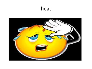 heat
 