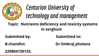 Centurion University of
technology and management
Topic: Nutrients deficiency and toxicity systems
in sorghum
Submitted by: Submitted to:
B.chandini. Dr.limbraj pholane
220804130133.
 
