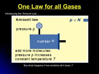 One Law for all Gases But what happens if we combine all 4 laws..? Introducing the ‘Amount Law’… 
