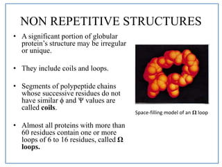 structure of proteins | PPT