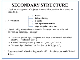 structure of protins | PPTX