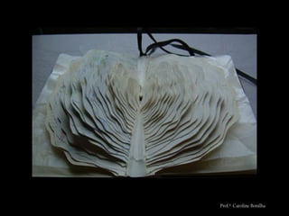 Prof.ª Caroline Bonilha
 