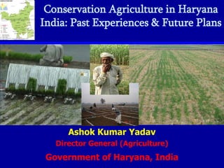 Conservation Agriculture in Haryana
India: Past Experiences & Future Plans




      Ashok Kumar Yadav
   Director General (Agriculture)
 Government of Haryana, India
 