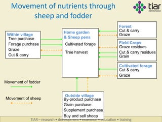 Building a model based on APSIM that simulates smallholder crop ...