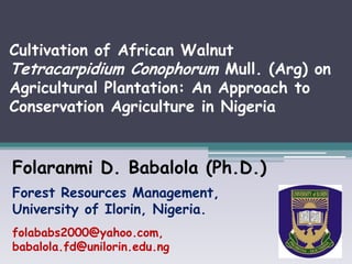 Cultivation of African Walnut
Tetracarpidium Conophorum Mull. (Arg) on
Agricultural Plantation: An Approach to
Conservation Agriculture in Nigeria


Folaranmi D. Babalola (Ph.D.)
Forest Resources Management,
University of Ilorin, Nigeria.
folababs2000@yahoo.com,
babalola.fd@unilorin.edu.ng
 
