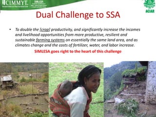 Dual Challenge to SSA
• To double the [crop] productivity, and significantly increase the incomes
  and livelihood opportunities from more productive, resilient and
  sustainable farming systems on essentially the same land area, and as
  climates change and the costs of fertilizer, water, and labor increase.
              SIMLESA goes right to the heart of this challenge
 
