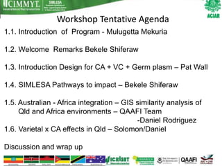 Workshop Tentative Agenda
1.1. Introduction of Program - Mulugetta Mekuria

1.2. Welcome Remarks Bekele Shiferaw

1.3. Introduction Design for CA + VC + Germ plasm – Pat Wall

1.4. SIMLESA Pathways to impact – Bekele Shiferaw

1.5. Australian - Africa integration – GIS similarity analysis of
     Qld and Africa environments – QAAFI Team
                                           -Daniel Rodriguez
1.6. Varietal x CA effects in Qld – Solomon/Daniel

Discussion and wrap up
 
