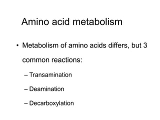 Amino acid metabolism
• Metabolism of amino acids differs, but 3
common reactions:
– Transamination
– Deamination
– Decarboxylation
 