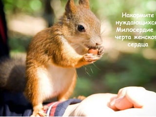 Накормите
нуждающихся
Милосердие
черта женског
    сердца
 