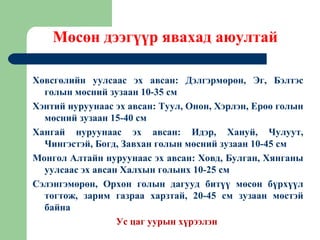 Мөсөн дээгүүр явахад аюултай

Хөвсгөлийн уулсаас эх авсан: Дэлгэрмөрөн, Эг, Бэлтэс
  голын мөсний зузаан 10-35 см
Хэнтий нуруунаас эх авсан: Туул, Онон, Хэрлэн, Ерөө голын
  мөсний зузаан 15-40 см
Хангай нуруунаас эх авсан: Идэр, Хануй, Чулуут,
  Чингэстэй, Богд, Завхан голын мөсний зузаан 10-45 см
Монгол Алтайн нуруунаас эх авсан: Ховд, Булган, Хянганы
  уулсаас эх авсан Халхын голынх 10-25 см
Сэлэнгэмөрөн, Орхон голын дагууд битүү мөсөн бүрхүүл
  тогтож, зарим газраа харзтай, 20-45 см зузаан мөстэй
  байна
                  Ус цаг уурын хүрээлэн
 