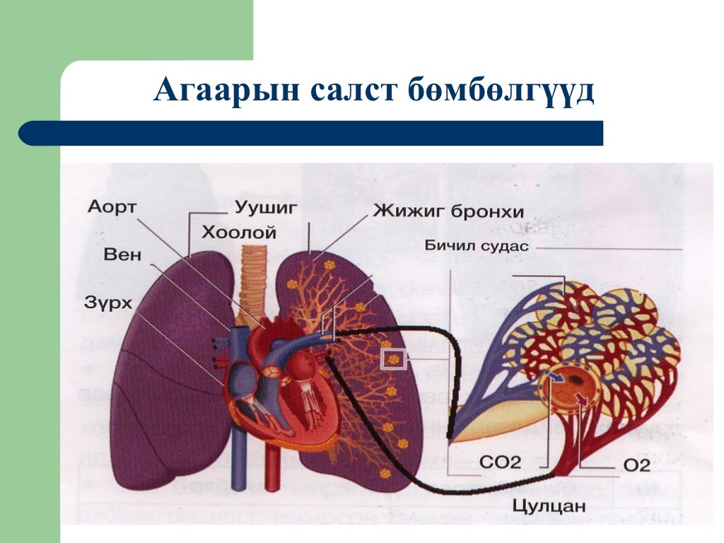 Эрэн хайх аврах ажиллагаа