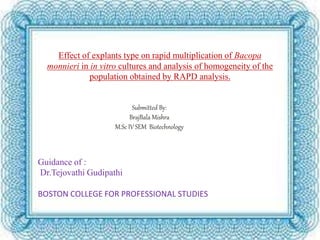 Effect of explants type on rapid multiplication of Bacopa 
monnieri in in vitro cultures and analysis of homogeneity of the 
population obtained by RAPD analysis. 
Submitted By: 
BrajBala Mishra 
M.Sc IV SEM Biotechnology 
Guidance of : 
Dr.Tejovathi Gudipathi 
BOSTON COLLEGE FOR PROFESSIONAL STUDIES 
 