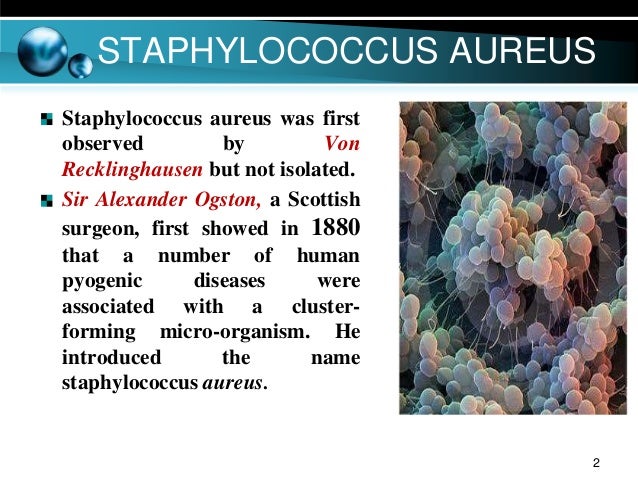 Phd thesis on staphylococcus aureus