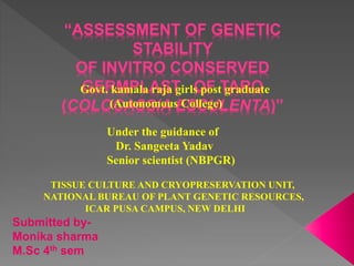 “ASSESSMENT OF GENETIC 
STABILITY 
OF INVITRO CONSERVED 
Govt. GERMPLAST kamala raja girls OF post TARO 
graduate 
(COLOCASSIA ESCULENTA)” 
Submitted by- 
Monika sharma 
M.Sc 4th sem 
(Autonomous College) 
Under the guidance of 
Dr. Sangeeta Yadav 
Senior scientist (NBPGR) 
TISSUE CULTURE AND CRYOPRESERVATION UNIT, 
NATIONAL BUREAU OF PLANT GENETIC RESOURCES, 
ICAR PUSA CAMPUS, NEW DELHI 
 