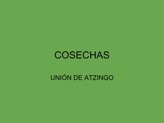 COSECHAS

UNIÓN DE ATZINGO
 