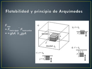 Fneta
= Fhacia abajo  Fhacia arriba
= = ghA  h wgyA
 